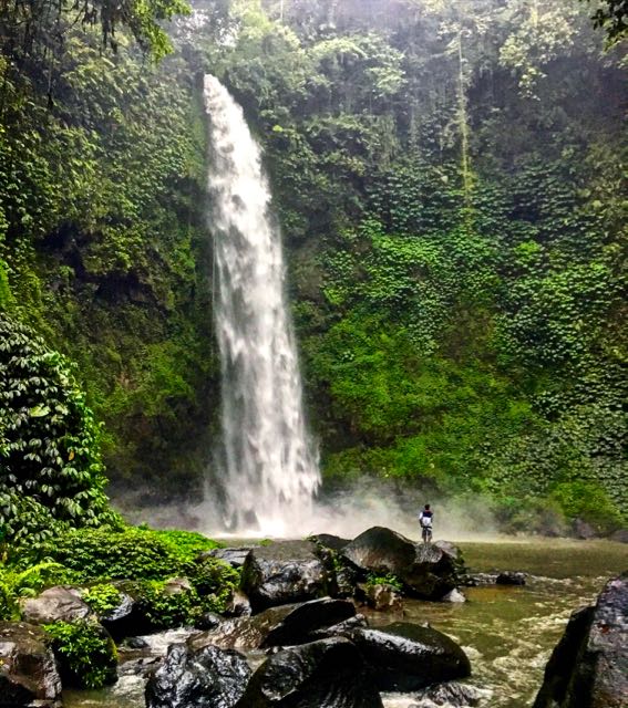 waterfall_in_ubud